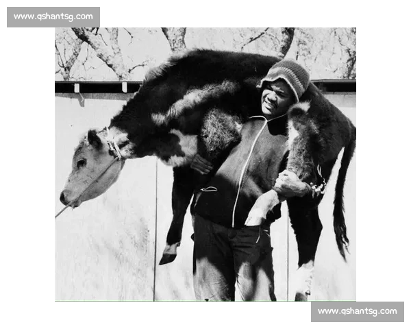 福尔曼VS奎维世纪对决力量与意志的巅峰碰撞解析拳坛历史级较量